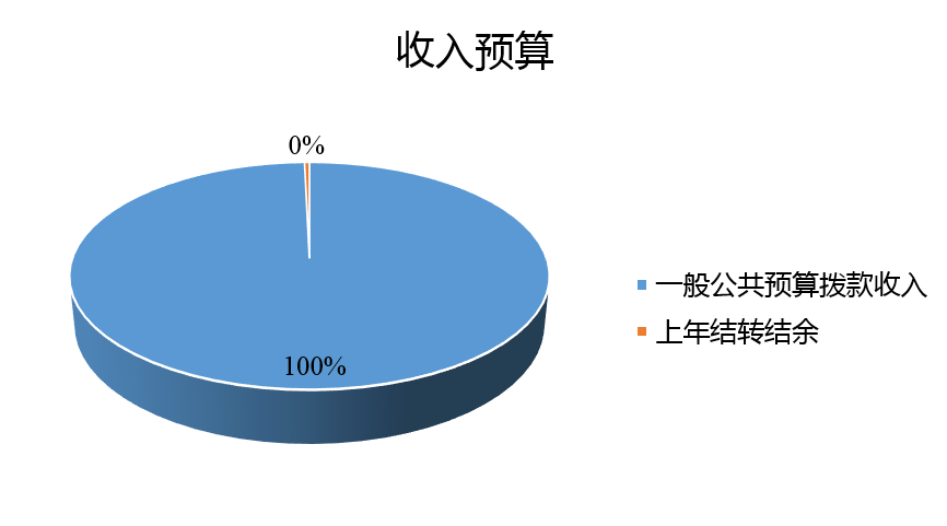 图1 收入预算.png