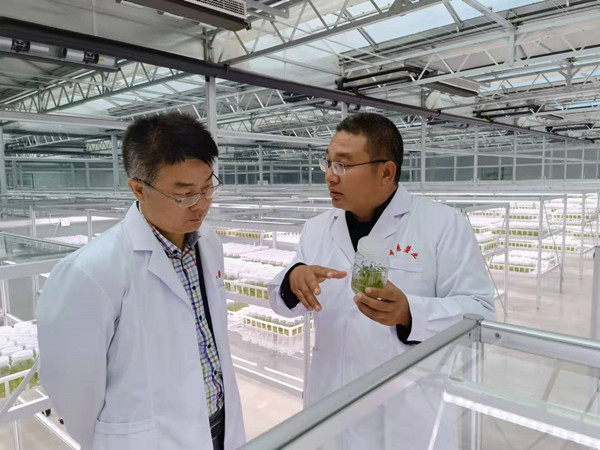 在商都县内蒙古希森马铃薯种业有限公司调研京蒙协作原原种繁育产业园建设项目_副本.jpg